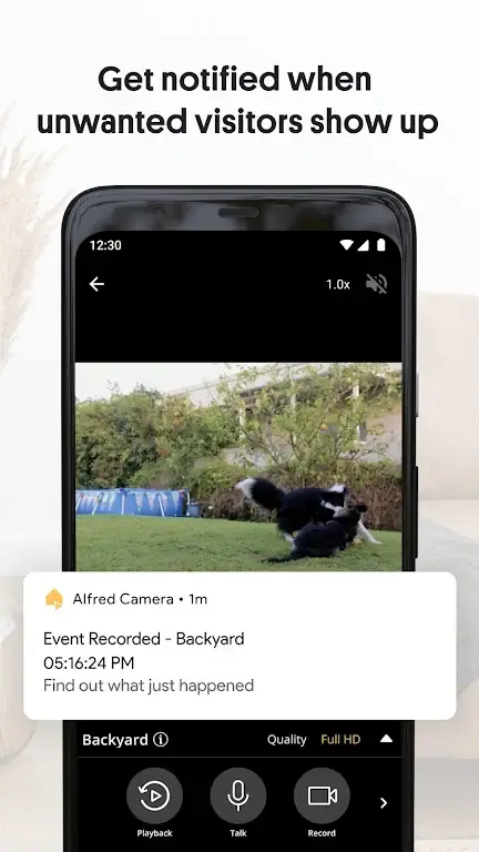 AlfredCamera v2025.1.0