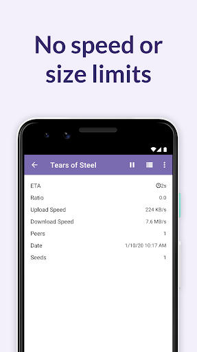 BitTorrent