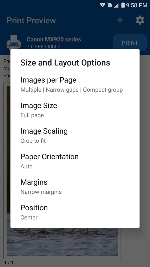 NokoPrint 5.20.8