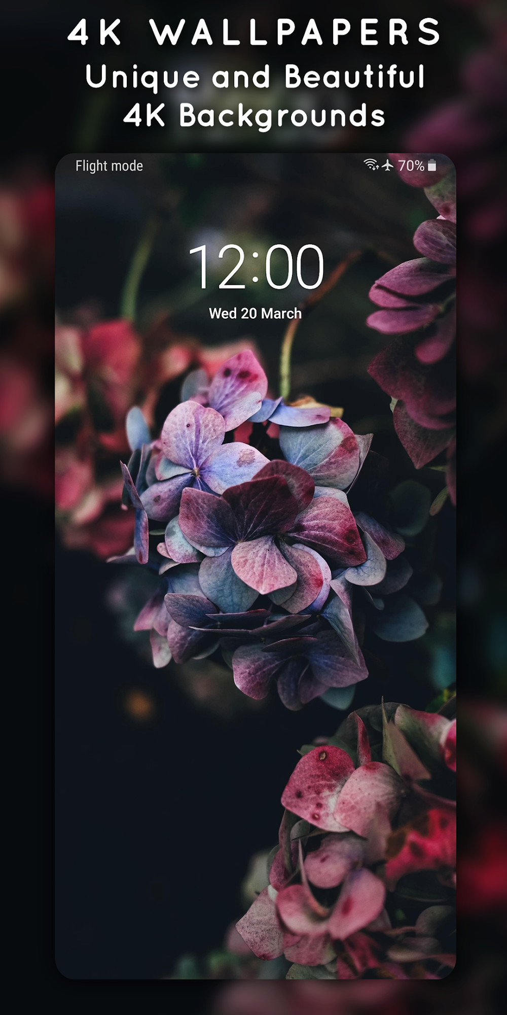 4K Wallpapers