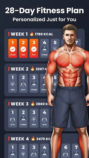 Home Workout – No Equipment