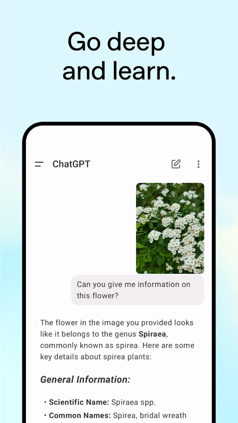 ChatGPT Latest ChatGPT Latest