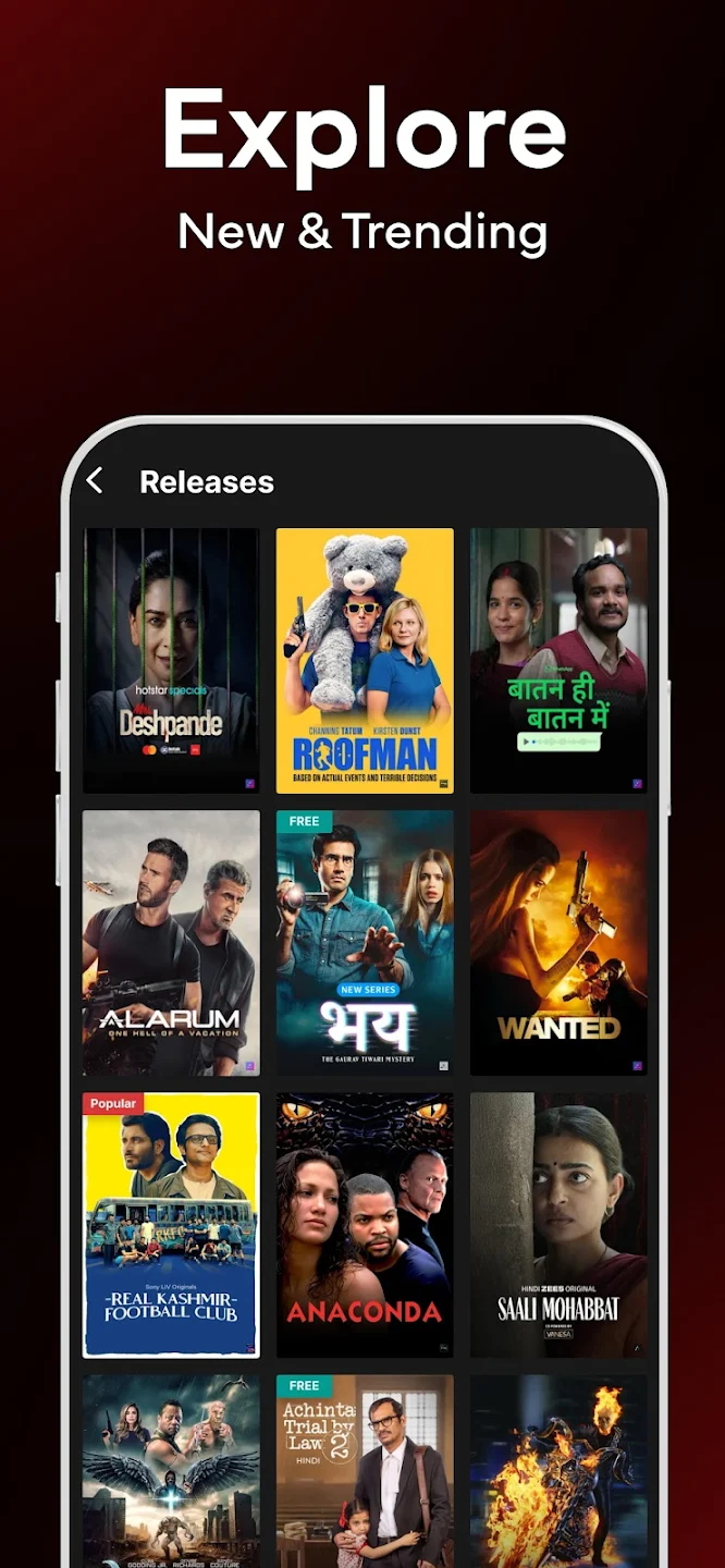 Airtel Xstream Play