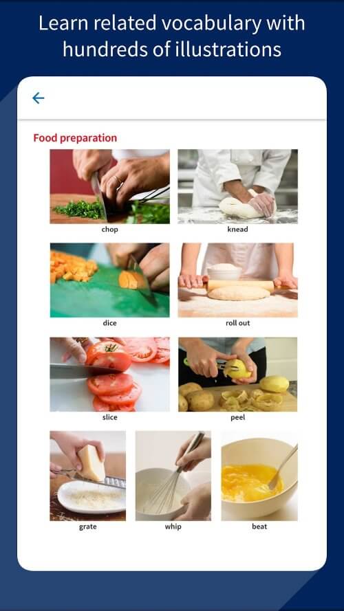 Oxford Advanced Learner's Dictionary