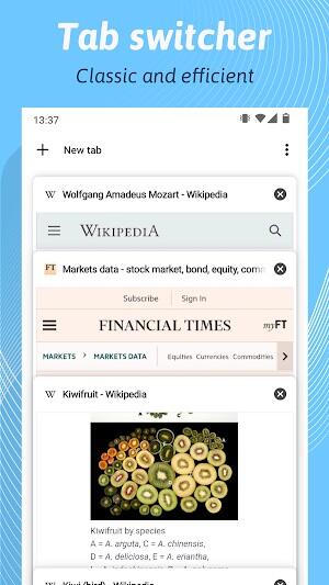 Kiwi Browser
