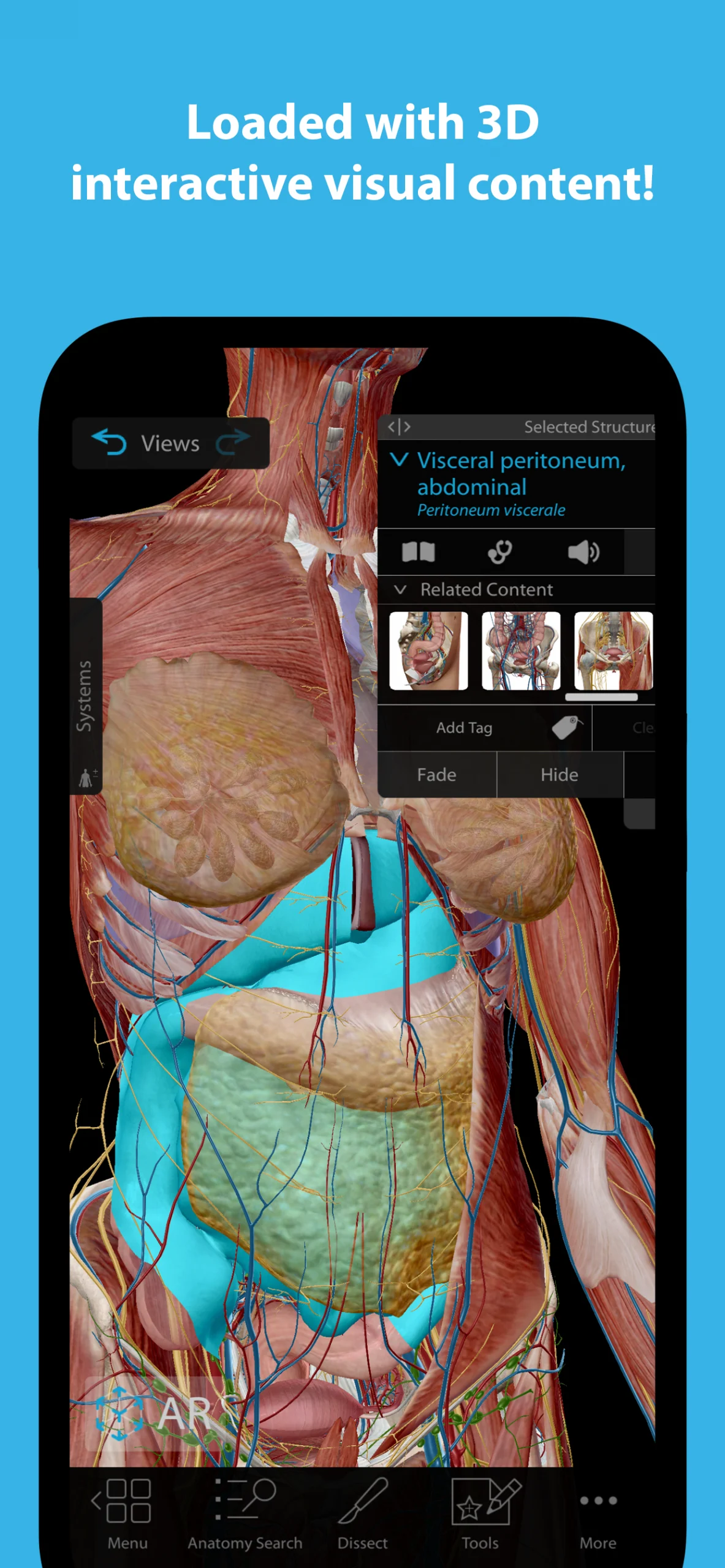 Human Anatomy Atlas