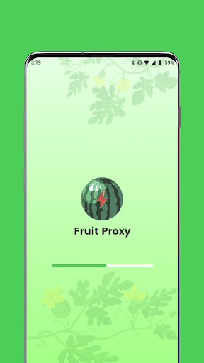 Fruit Proxy - Secure VPN