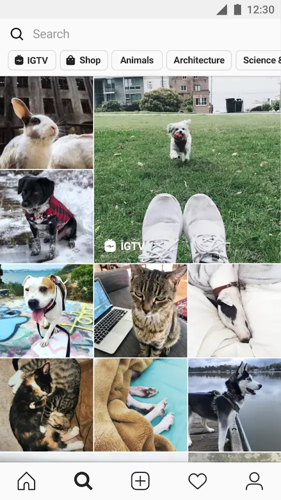 Instagram APK 363.0.0.29.80