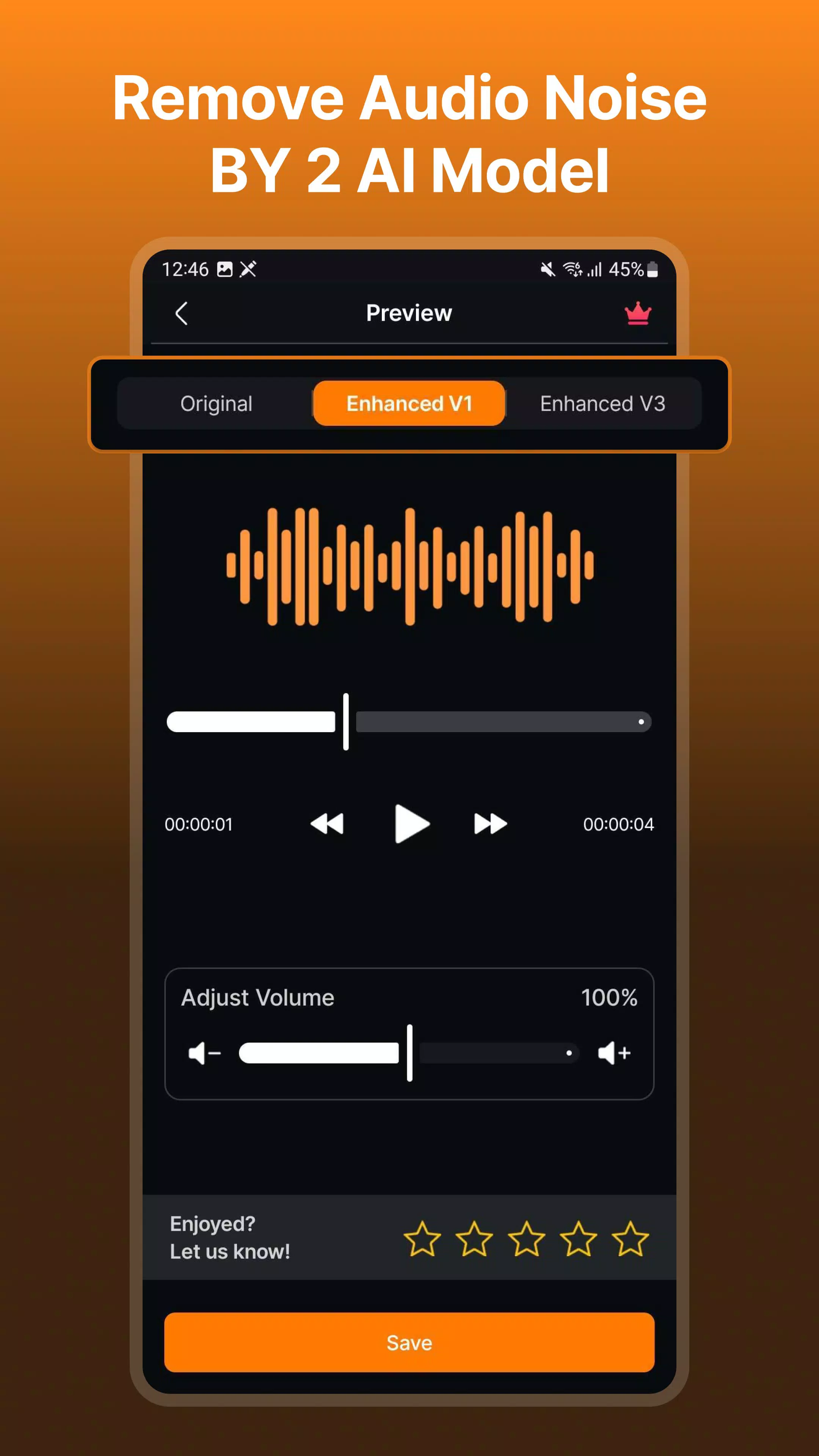 Audio Video Noise Reducer