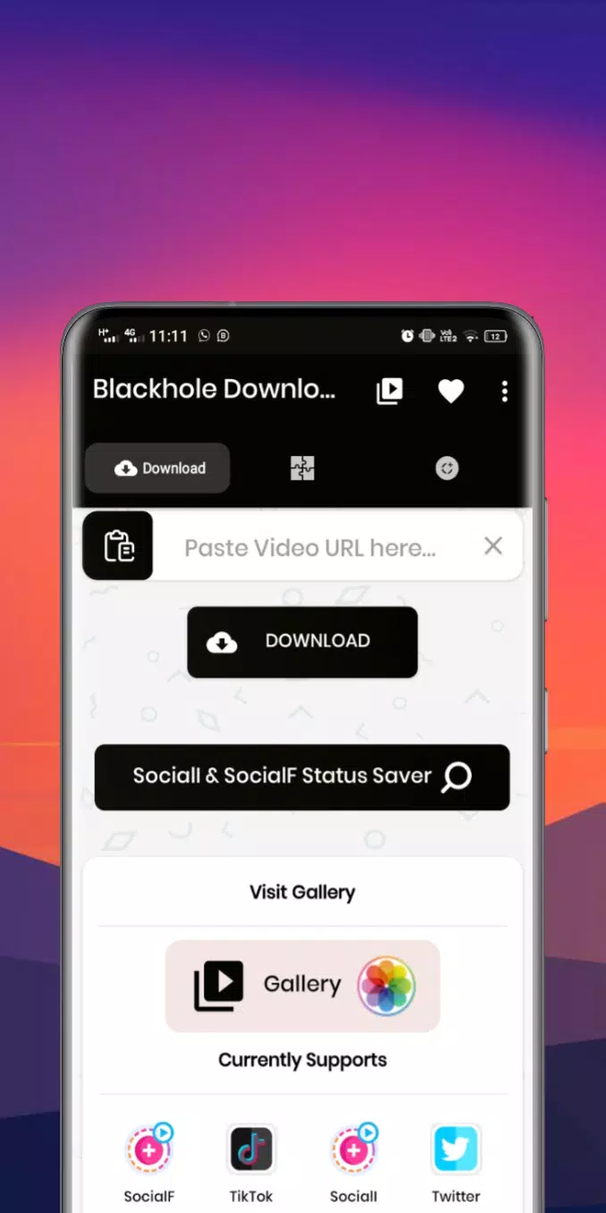 Blackhole Downloader