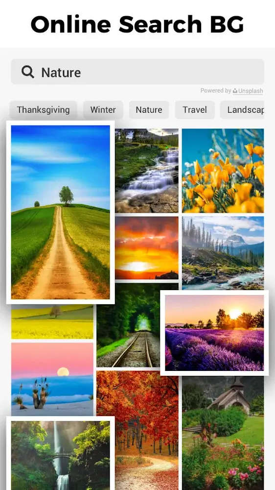 Background Eraser