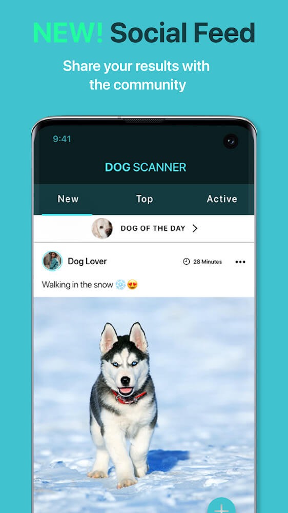 Dog Scanner Dog Scanner