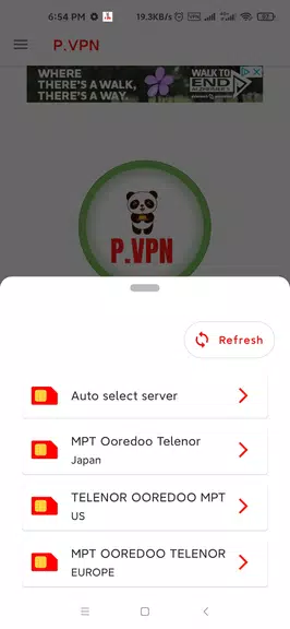 P-VPN