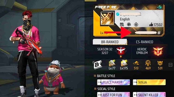 BrifiPro