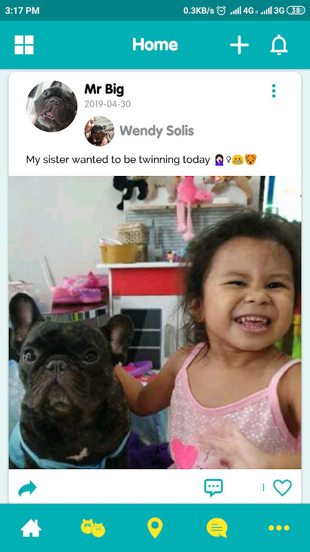 Pet Pals