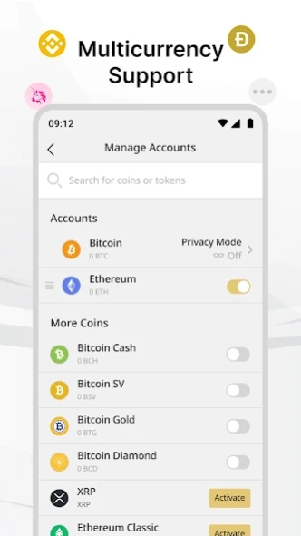 Ballet Crypto
