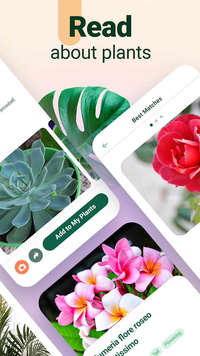 Plantum