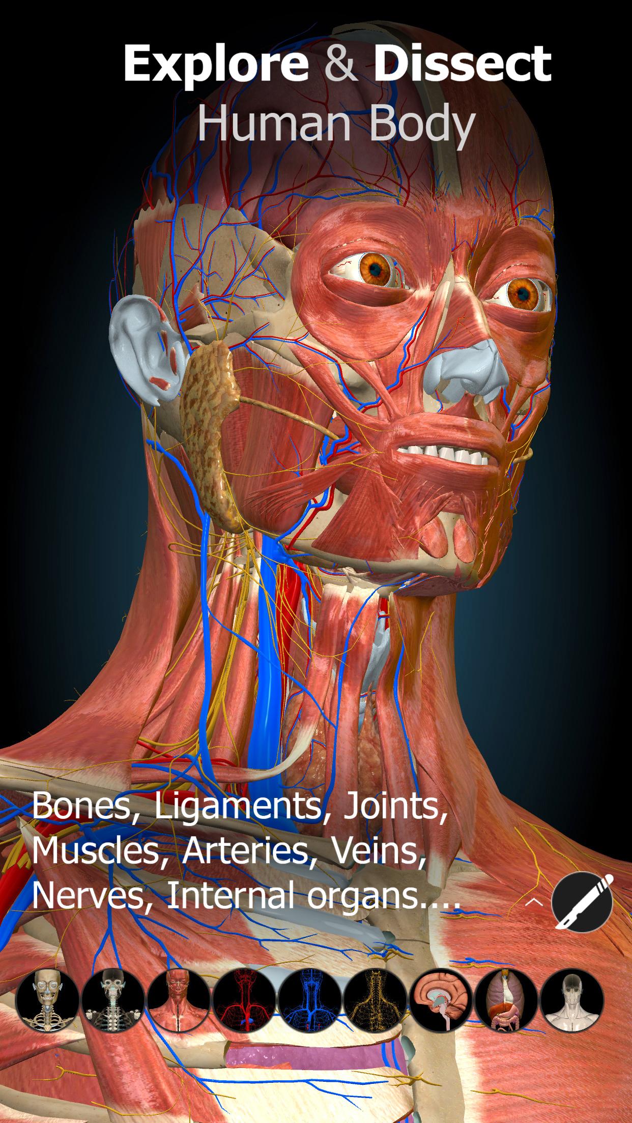 Anatomy Learning