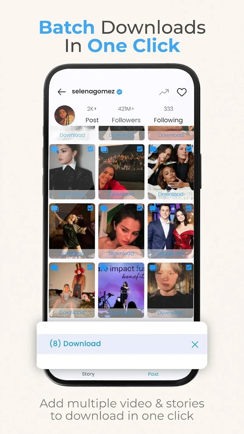 InSaver: Video & Story Saver
