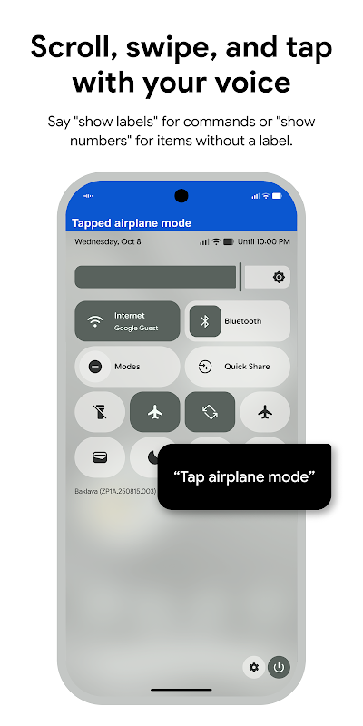 Voice Access