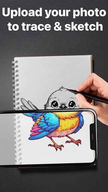AR Draw Sketch APK
