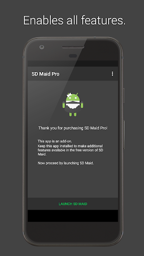 SD Maid 1 Pro