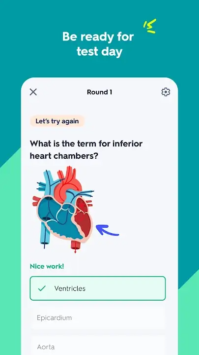 Quizlet Mod