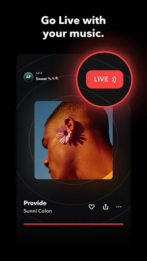TIDAL Music