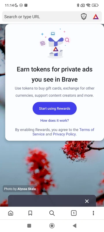 Brave Private Web Browser, VPN