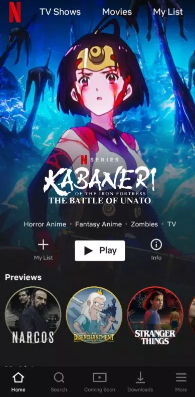 Netflix Premium Unlocked