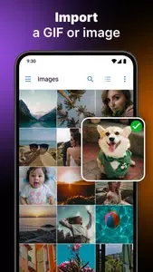 Gif Wallpaper Gif Wallpaper