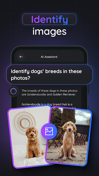 Gemmy AI: Chat &amp; Assistant