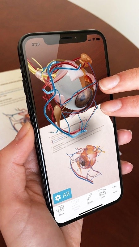 Human Anatomy Atlas