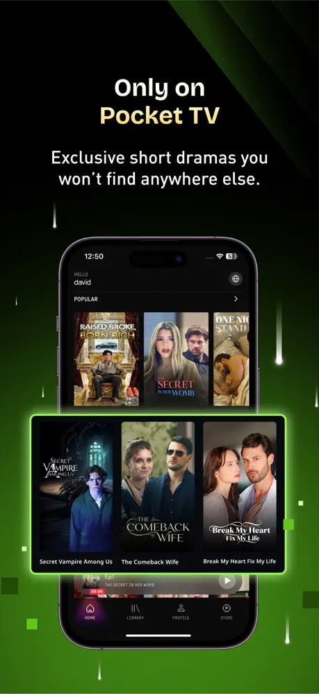 Pocket TV