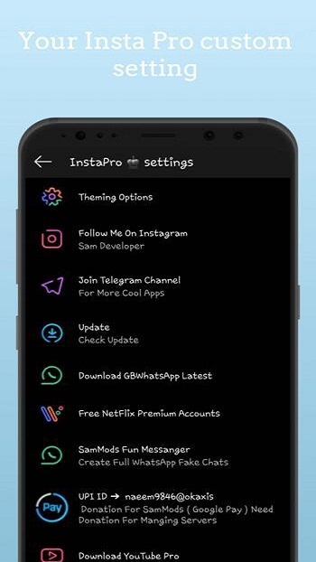 Insta Pro 14.30