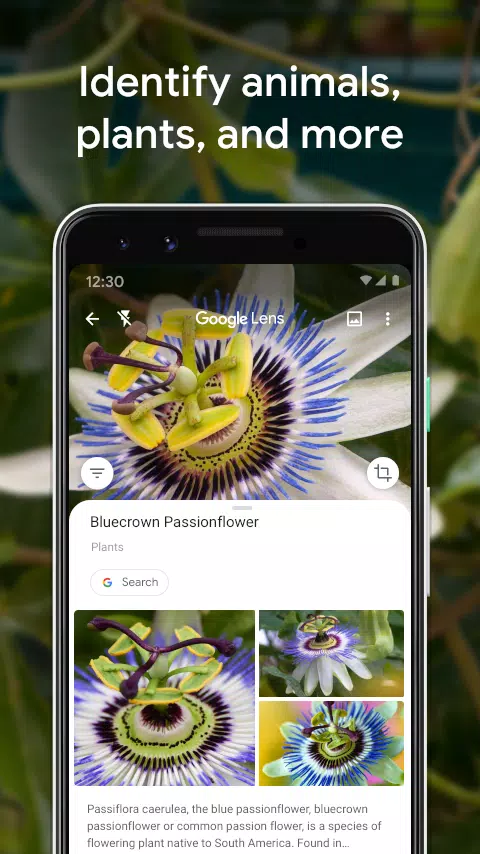 Google Lens Mod Google Lens Mod