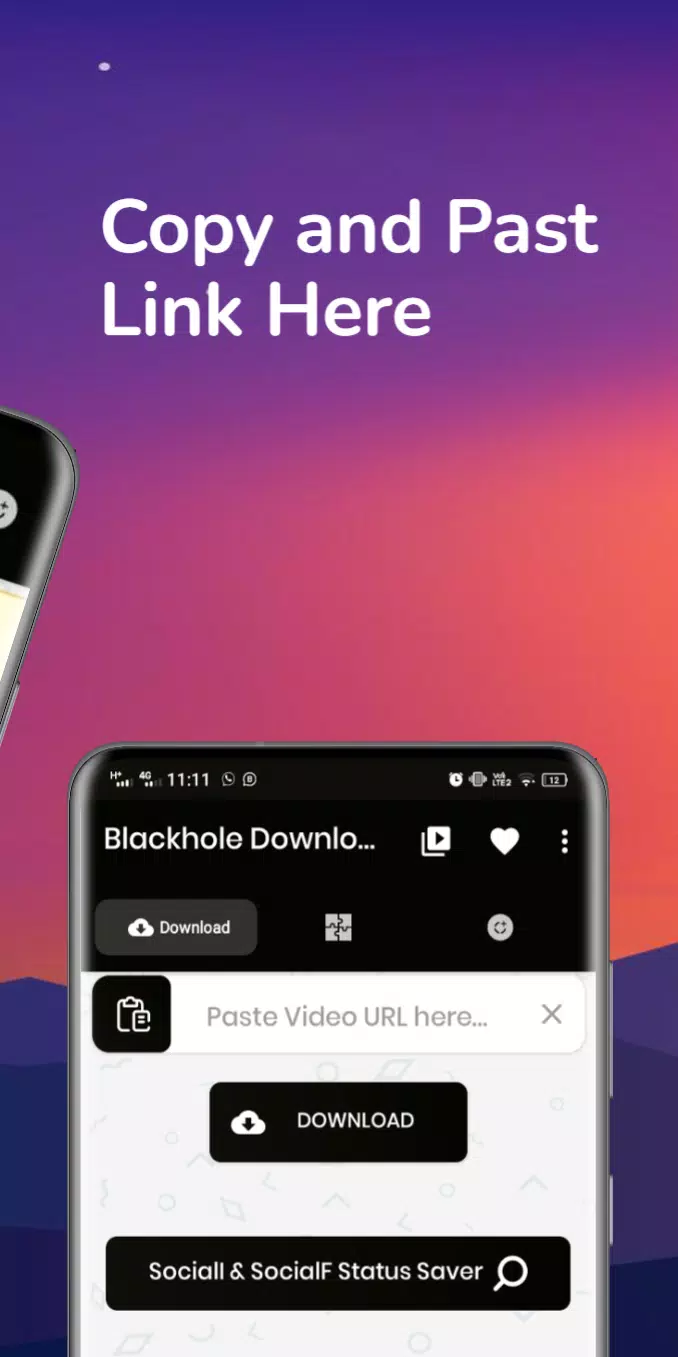 Blackhole Downloader