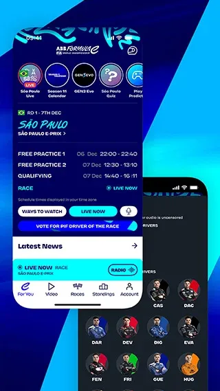 Formula E