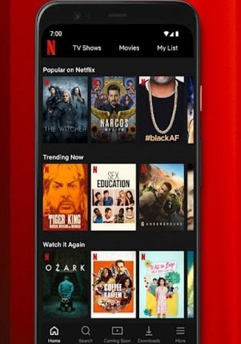 NetflixMirror