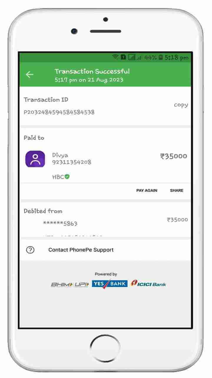 Prank Payment
