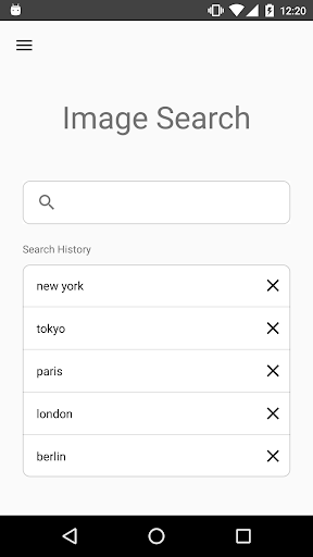ImageSearchMan