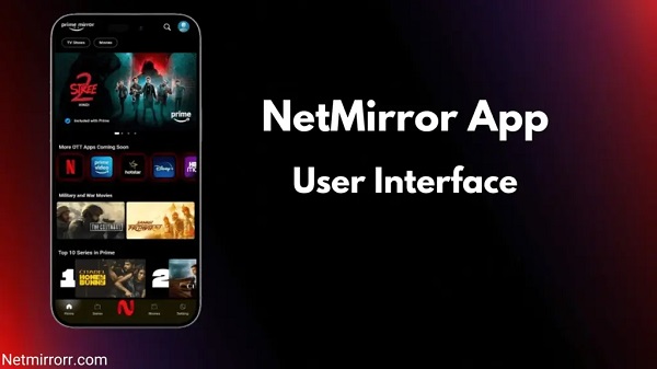 NetFree.cc