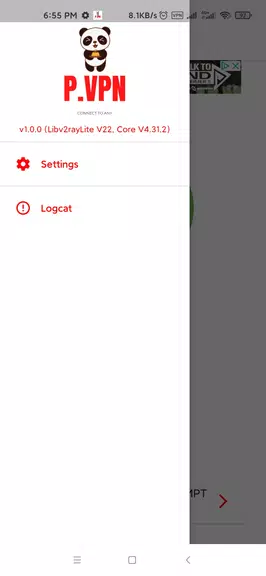 P-VPN