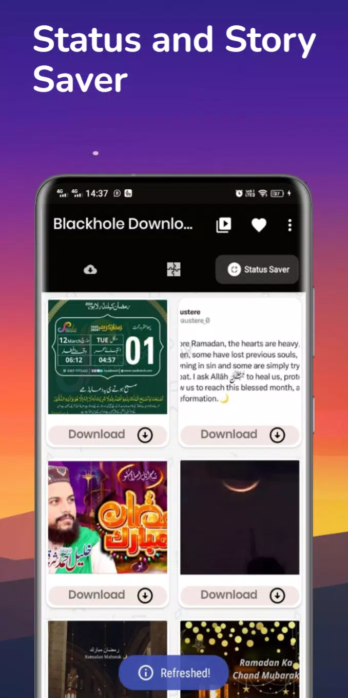 Blackhole Downloader