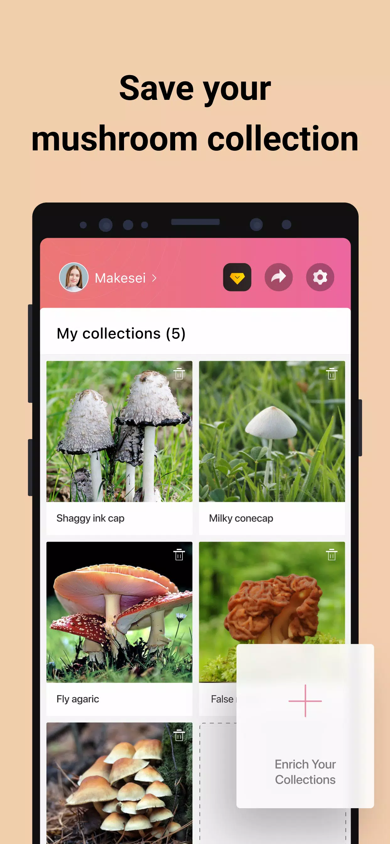 Picture Mushroom