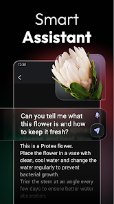 ChatOn AI Chat Bot Assistant