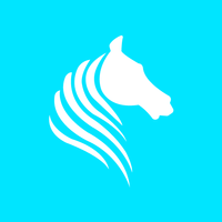 Jockey VPN