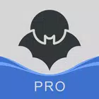 HaloVPN