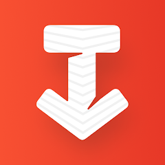 SSSTIK Video Downloader