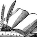 Novel Full